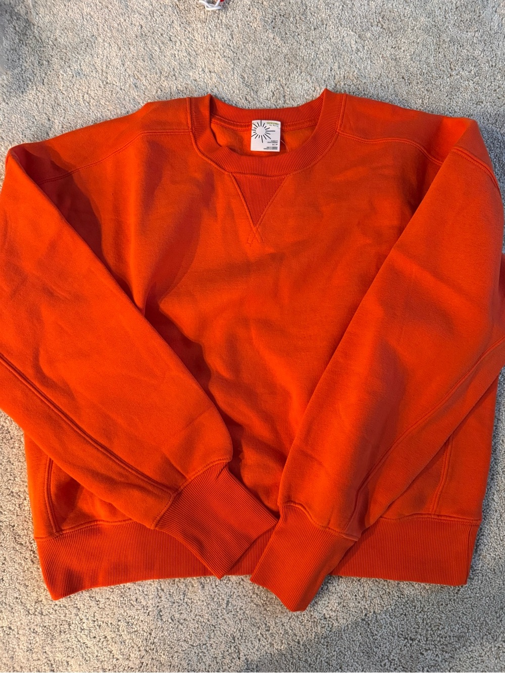 Offline by Aerie Classic Cloud Fleece Crewneck Sweatshirt